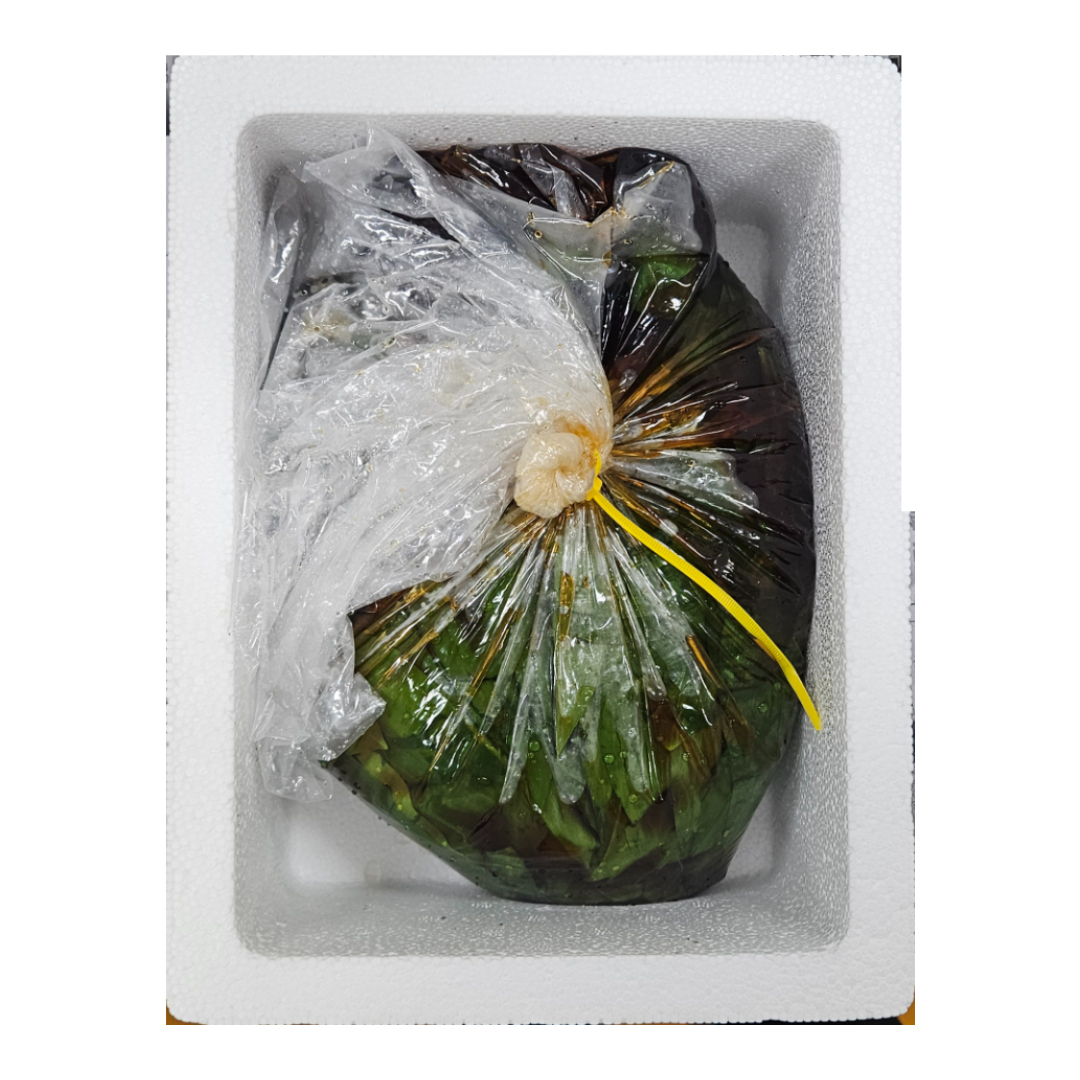 ��ǰ�̹���